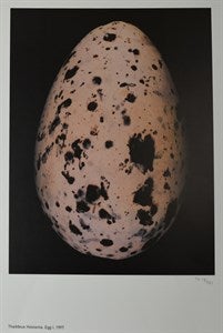 Image description is not available for DU2024.20